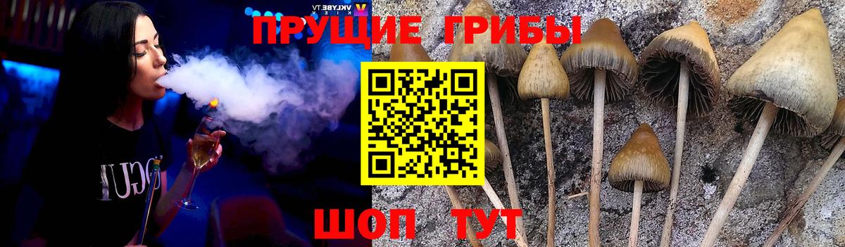 Псилоцибиновые грибы прущие грибы Свободный